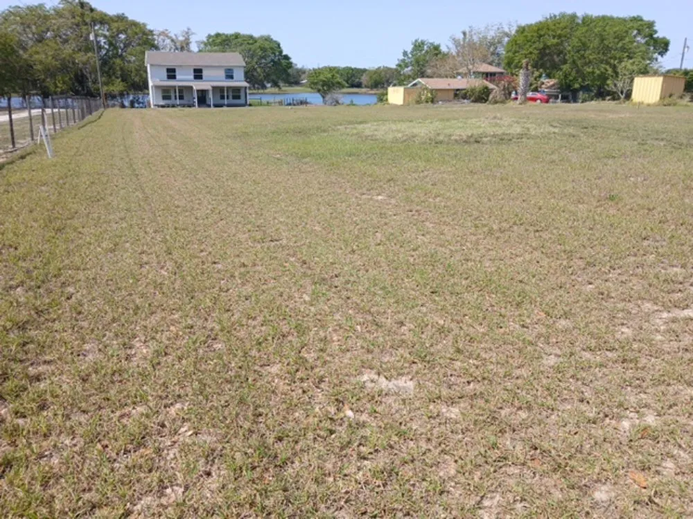 Expert yard cleanup service in Apopka, FL - TNL Lawn Legends