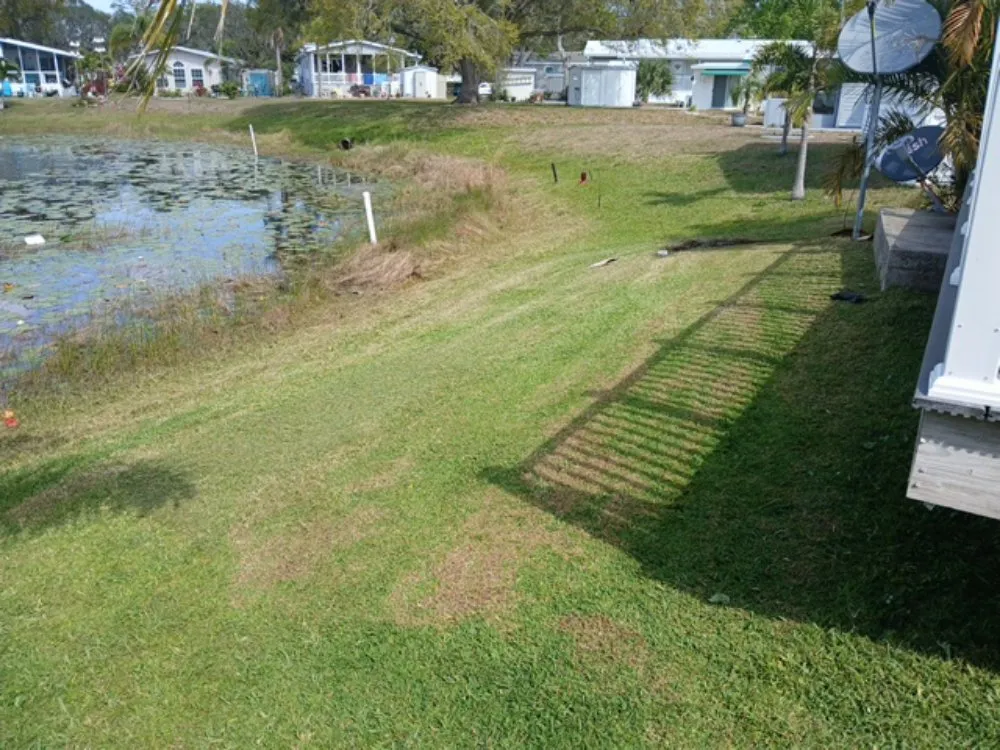 Local yard cleanup service experts serving Apopka, FL - TNL Lawn Legends