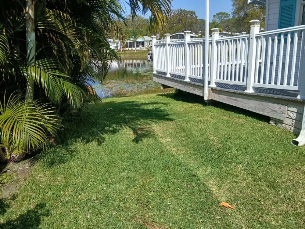 Reliable residential landscaping for residential properties across Apopka, FL - TNL Lawn Legends