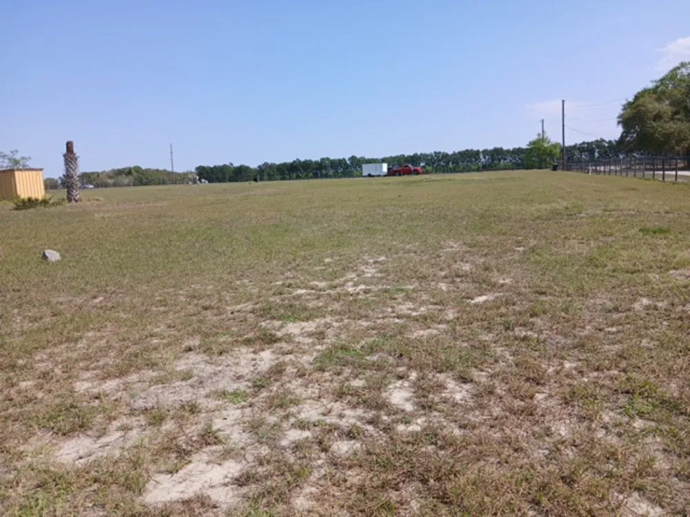 Custom lawn mowing service for residential properties across Apopka, FL - TNL Lawn Legends