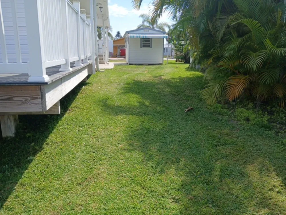 Affordable yard maintenance in Apopka, FL by TNL Lawn Legends