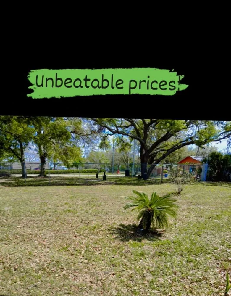 Local landscape installation for outdoor upgrades in Apopka, FL by TNL Lawn Legends