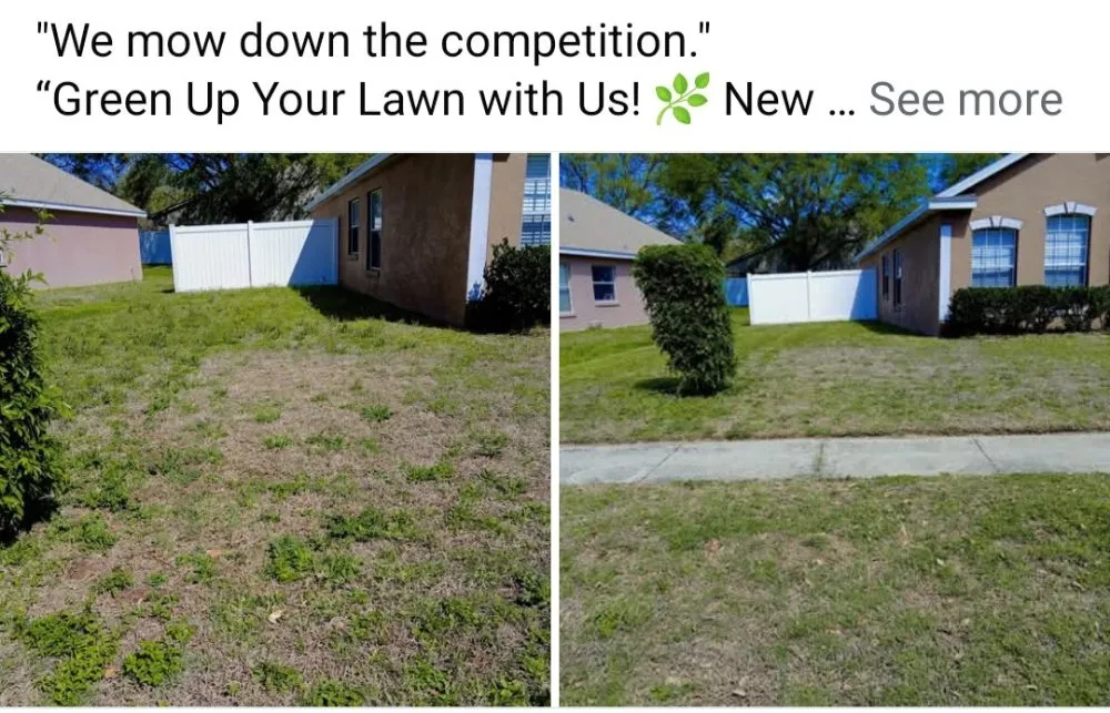 Local landscape installation for year-round maintenance in Apopka, FL by TNL Lawn Legends