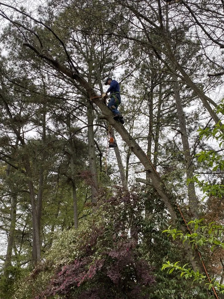 Local landscape design in Peachtree Corners, GA by TNP Landscaping