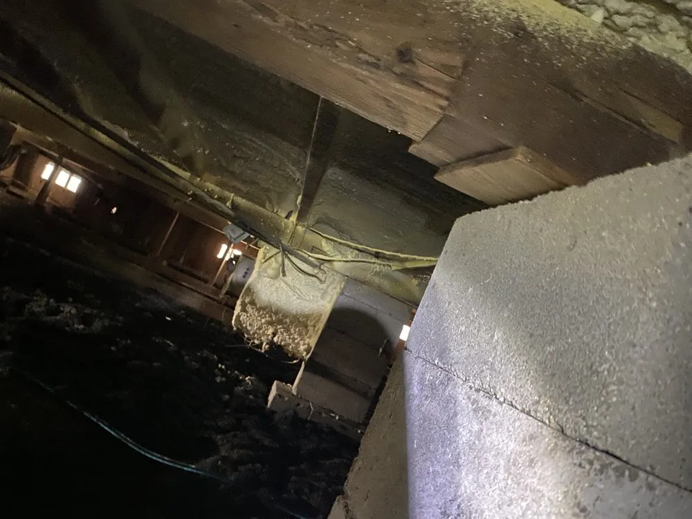 Professional landscaping services in Bartlett, TX by TNR Services