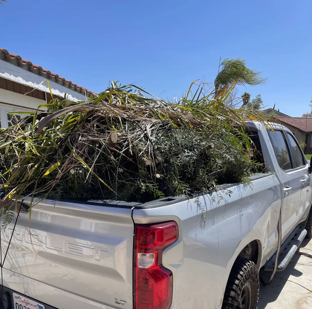 Top-rated outdoor landscaping experts serving Norco, CA - TNR Trash