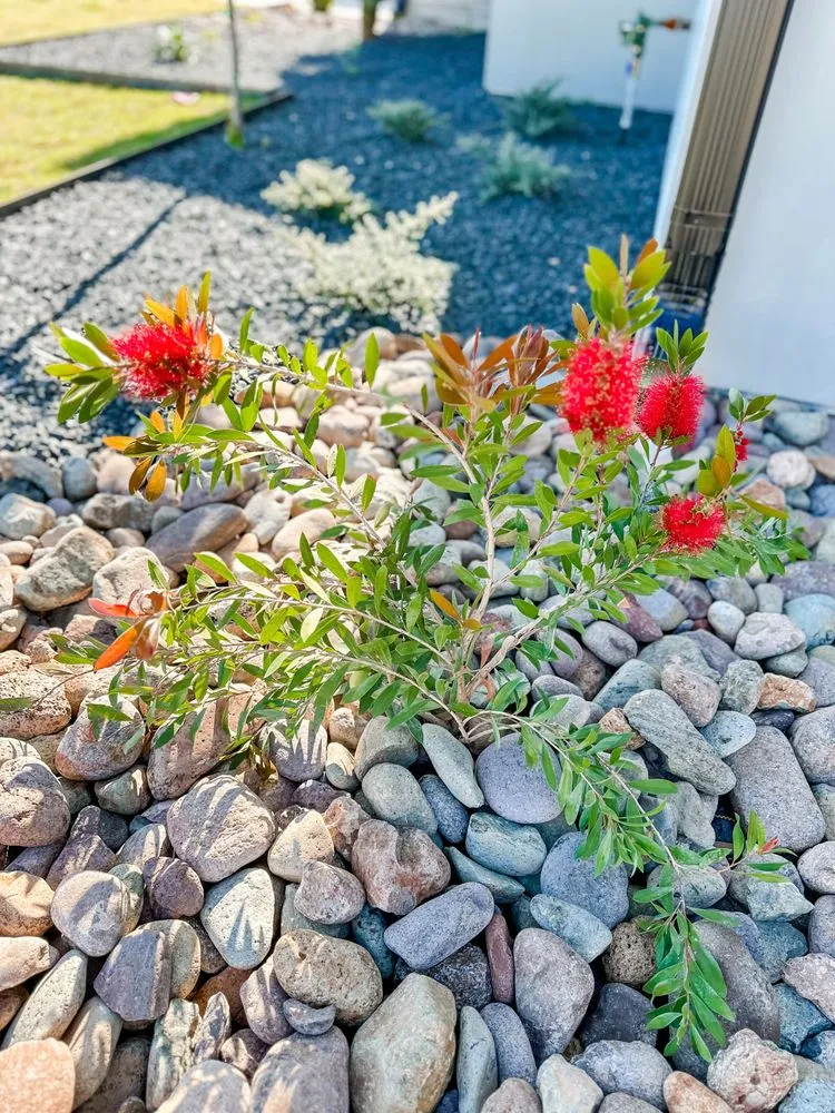 Expert landscape installation for homes across Belton, TX - TNS Land Design