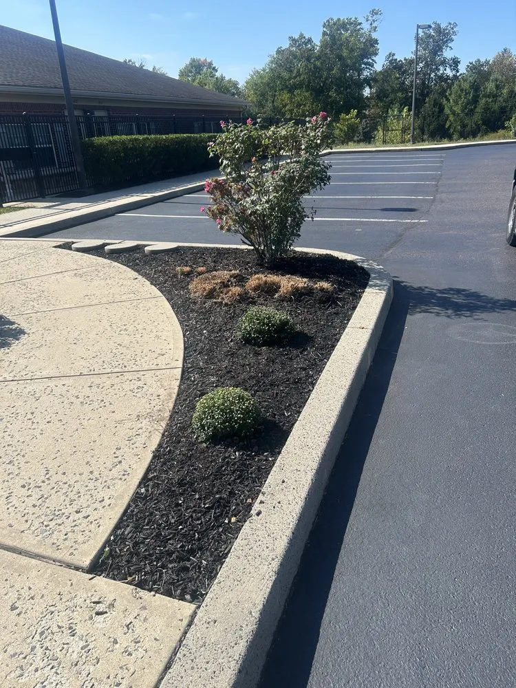 Professional yard cleanup service for outdoor upgrades across Pottstown, PA - TNS Property Services