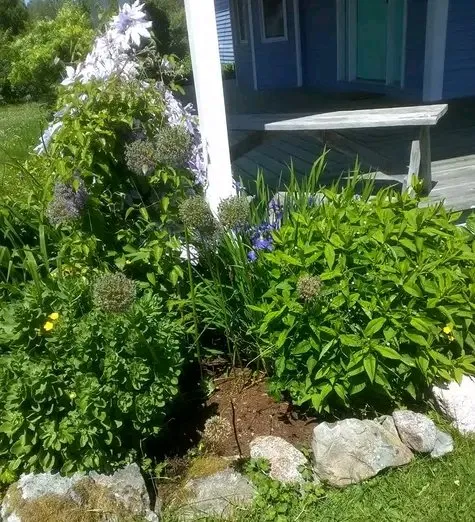 Affordable landscape design with custom design in Ellsworth, ME by Tnt Bright Cleaning and Much More