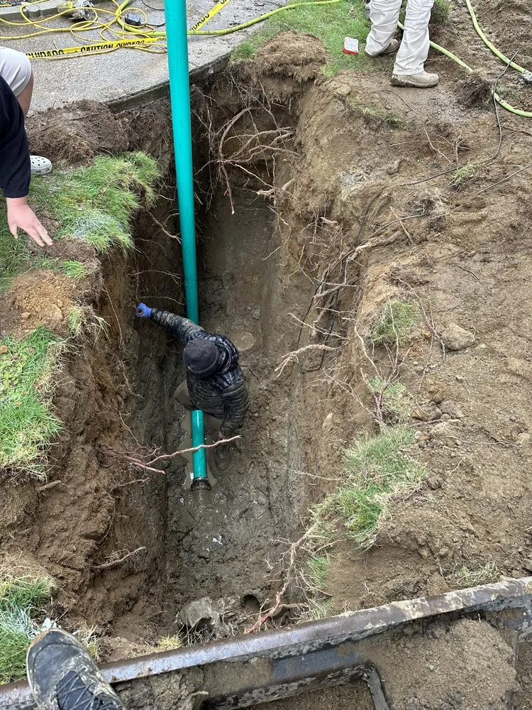 Professional yard maintenance experts serving Lynnwood, WA - Tnt construction Landscaping Services