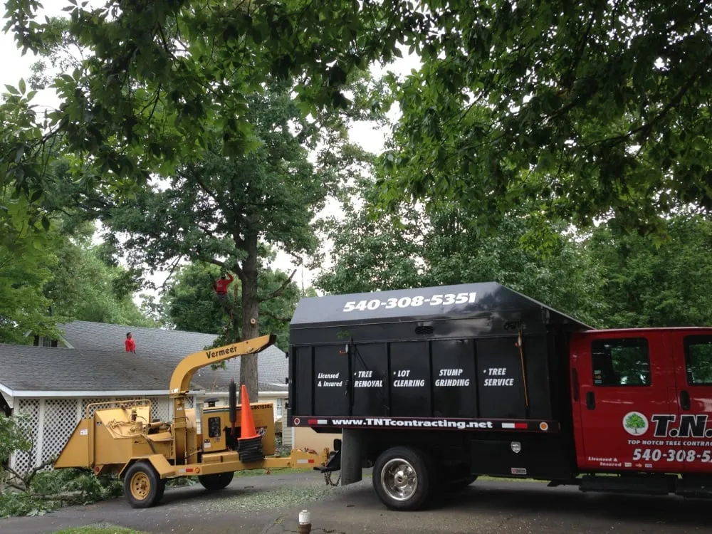 Professional yard cleanup service for outdoor upgrades in Warrenton, VA by TNT Contracting