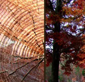 Top-rated lawn mowing service in Warrenton, VA by TNT Contracting