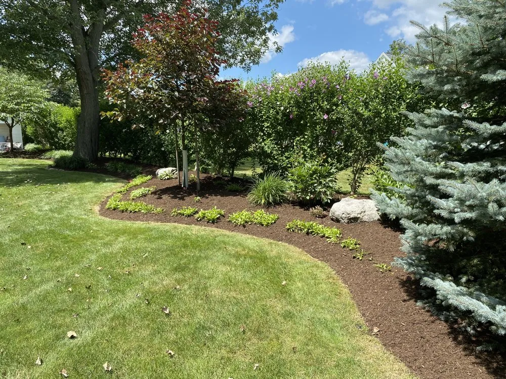 Top-rated lawn care service for beautiful yards across Batavia, NY - TNT Exteriors