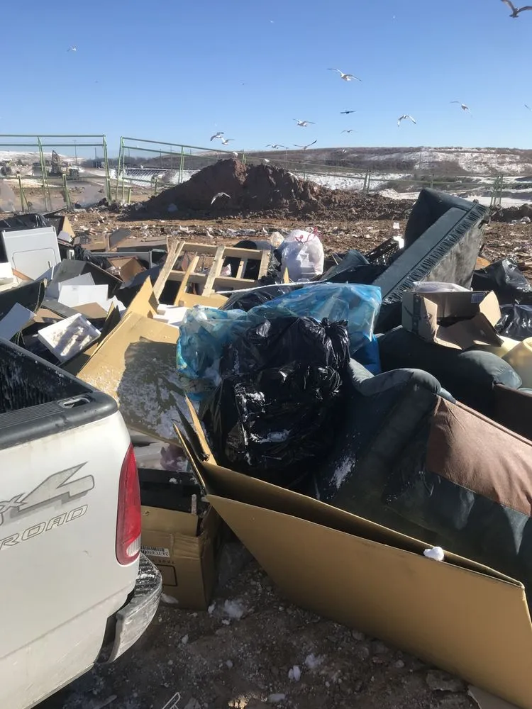 Expert yard cleanup service for homes in Baltimore, MD by TNT Hauling & Recycling