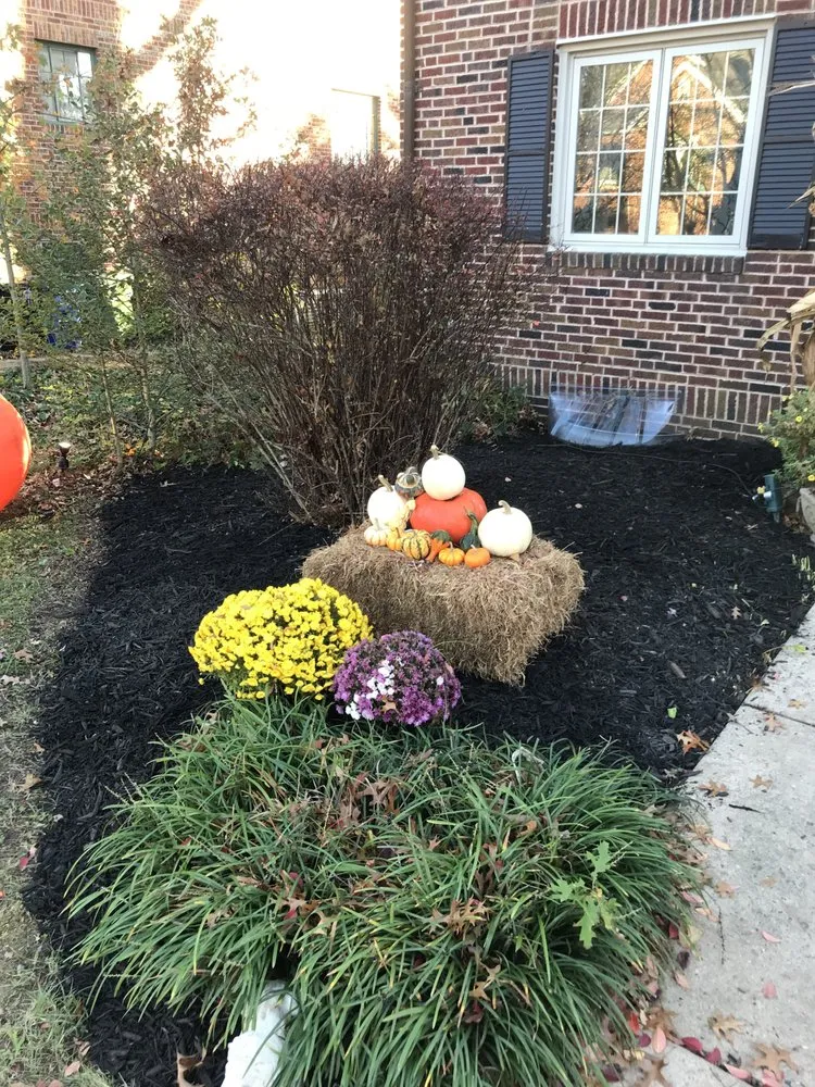 Affordable landscape installation experts serving Baltimore, MD - TNT Hauling & Recycling