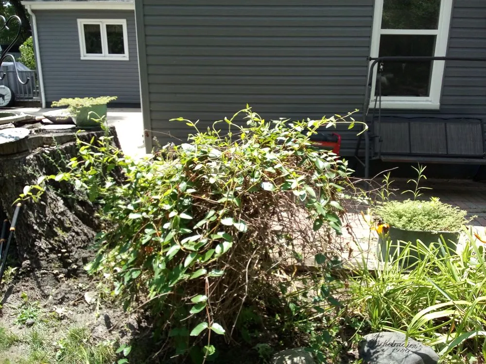 Local landscape design for homes in Chillicothe, IL by TnT Helping Hands