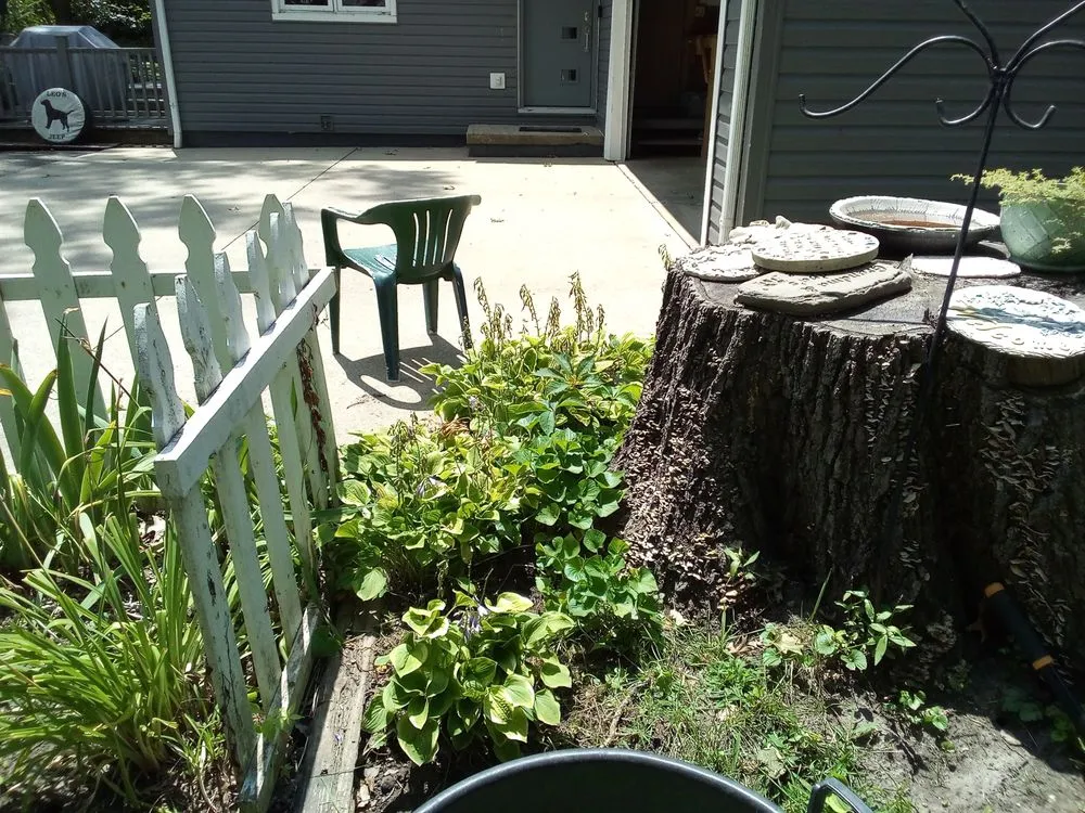 Trusted yard cleanup service in Chillicothe, IL by TnT Helping Hands