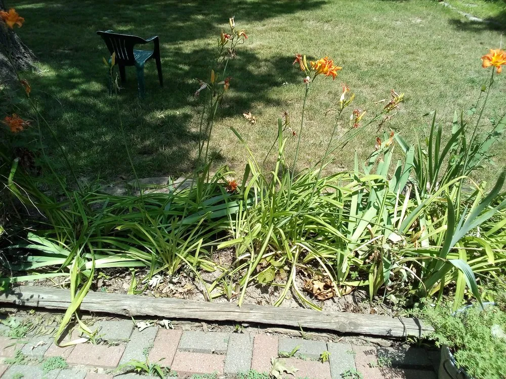 Professional residential landscaping for homes across Chillicothe, IL - TnT Helping Hands