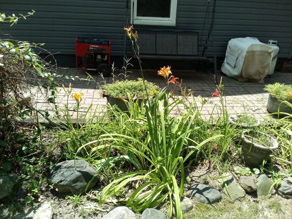 Top-rated garden landscaping experts serving Chillicothe, IL - TnT Helping Hands