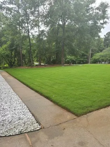 Local lawn care service in Perry, GA by TNT Hot Washing & Landscaping