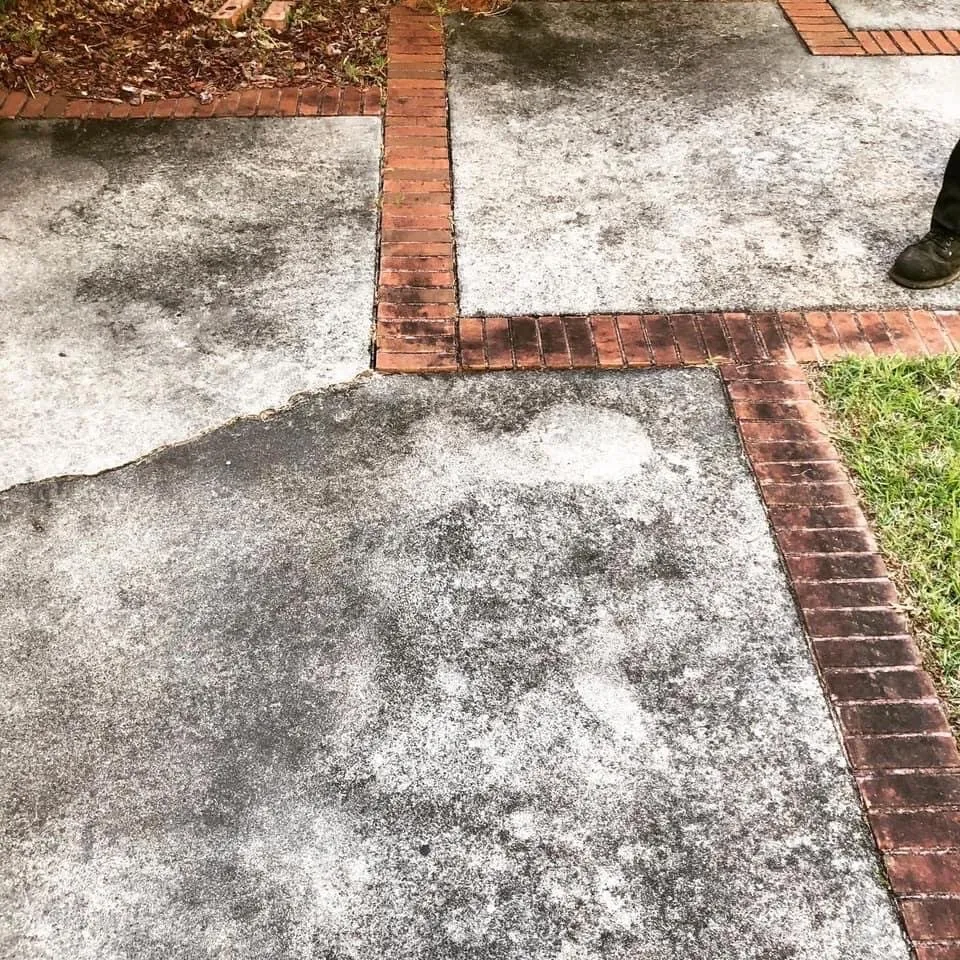 Trusted yard cleanup service for outdoor upgrades across Perry, GA - TNT Hot Washing & Landscaping