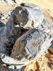 Top-rated landscaping services experts serving Interlachen, FL - TNT Land Development