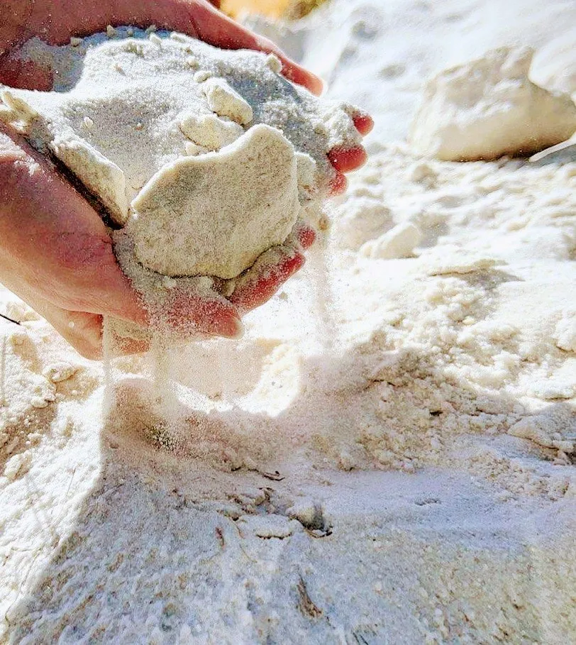 Top-rated yard cleanup service for homes across Interlachen, FL - TNT Land Development