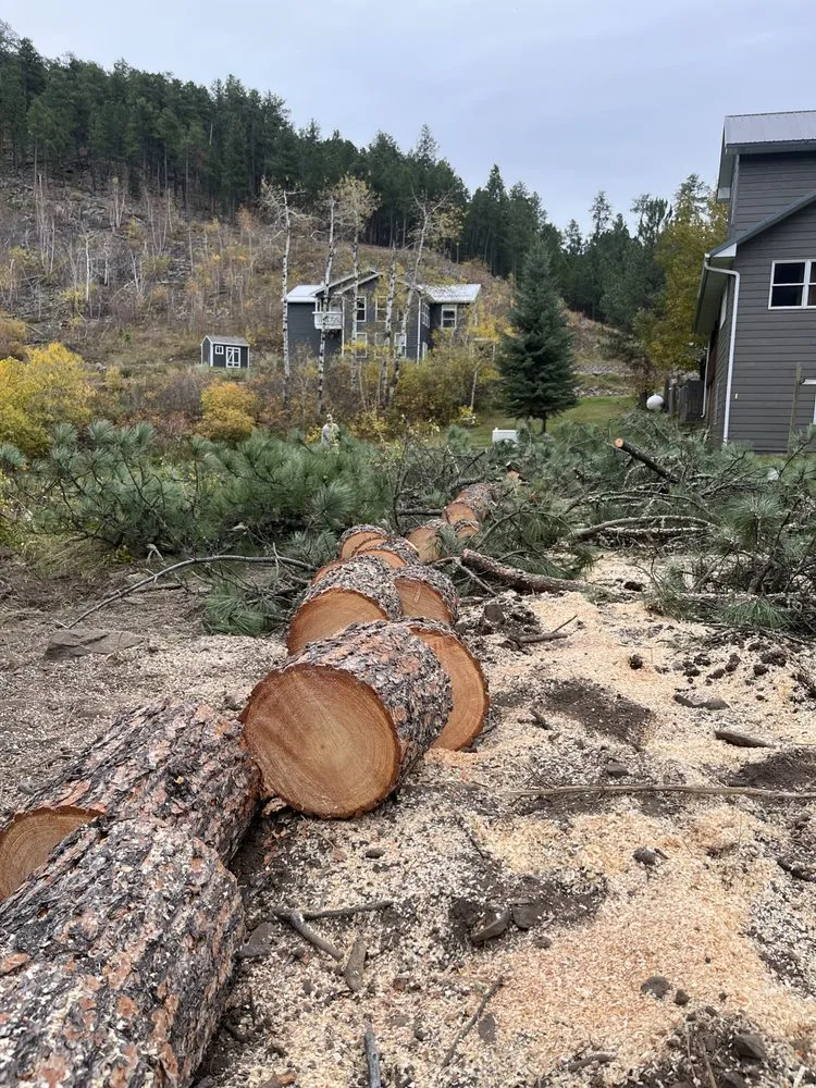 Trusted yard maintenance experts serving Rapid City, SD - Tnt Land Maintenance