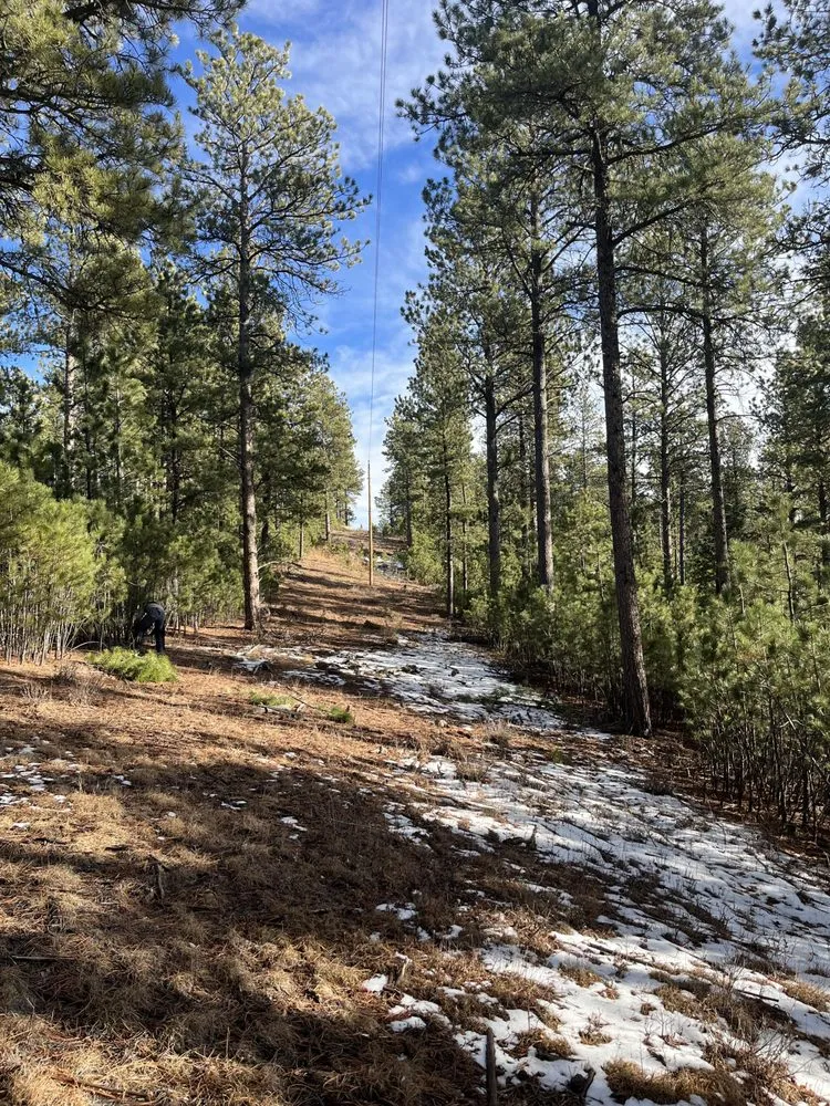 Expert lawn mowing service in Rapid City, SD - Tnt Land Maintenance