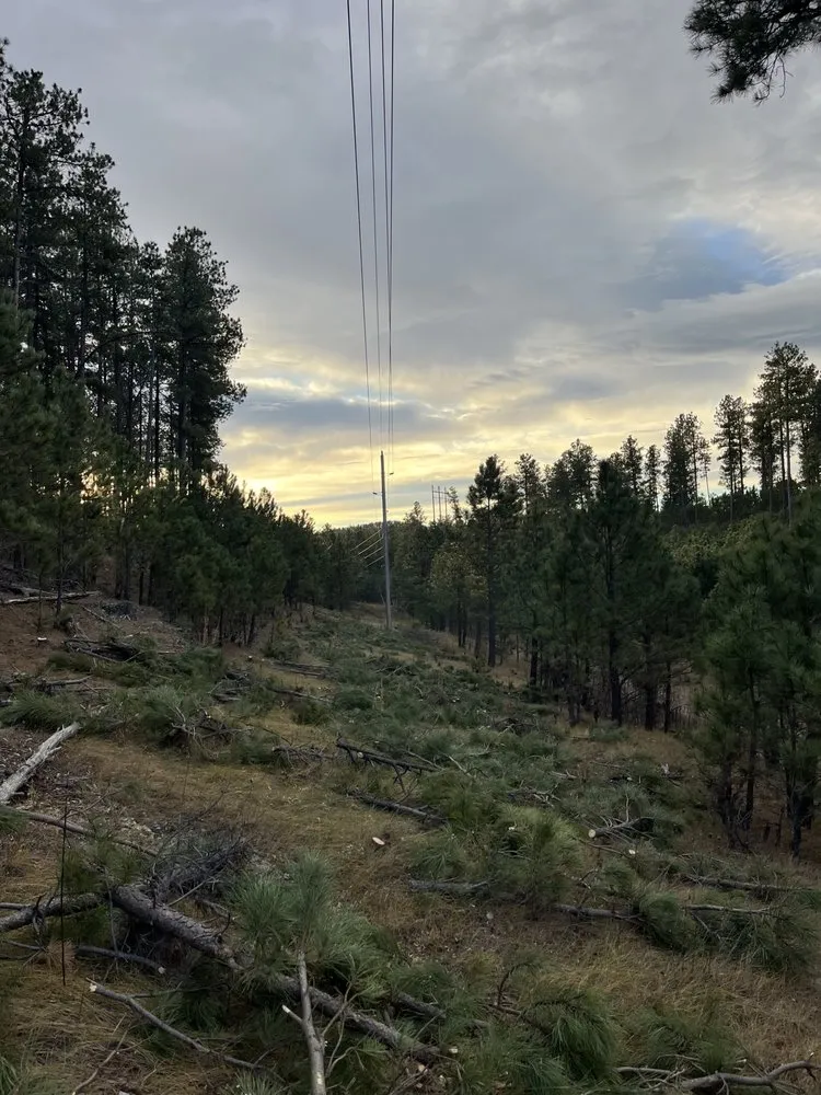 Custom lawn care service in Rapid City, SD by Tnt Land Maintenance