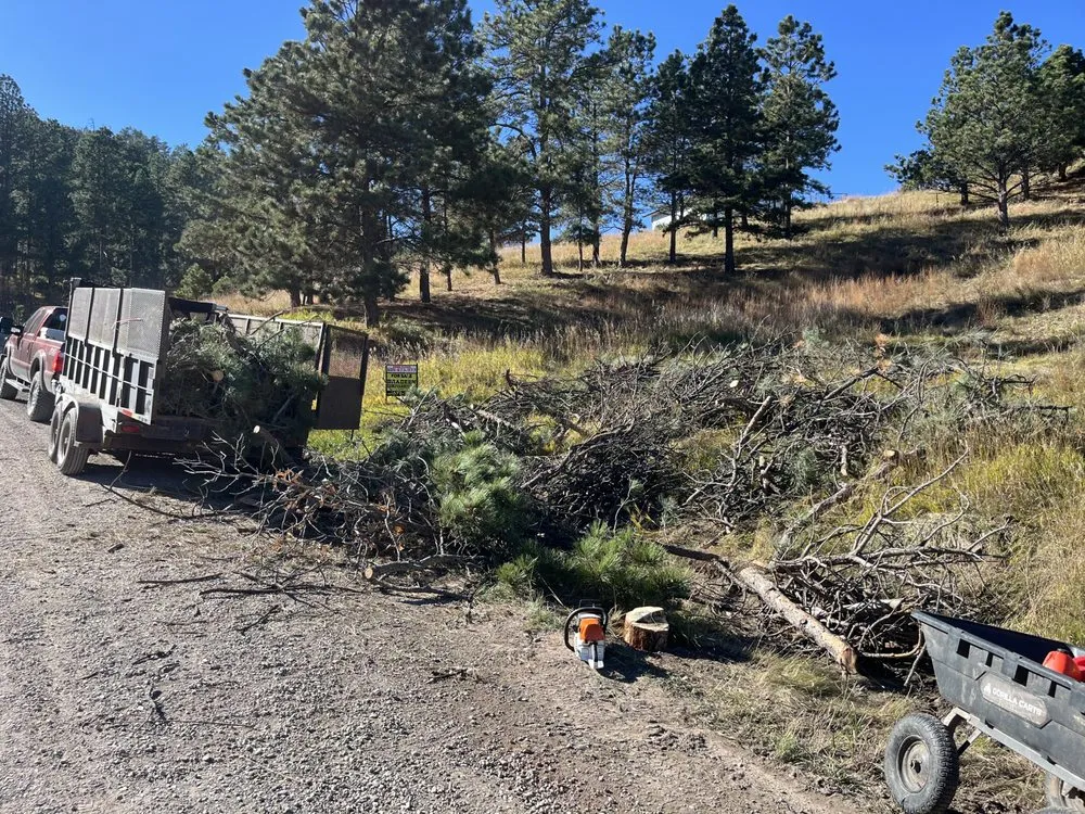 Custom landscaping services in Rapid City, SD - Tnt Land Maintenance