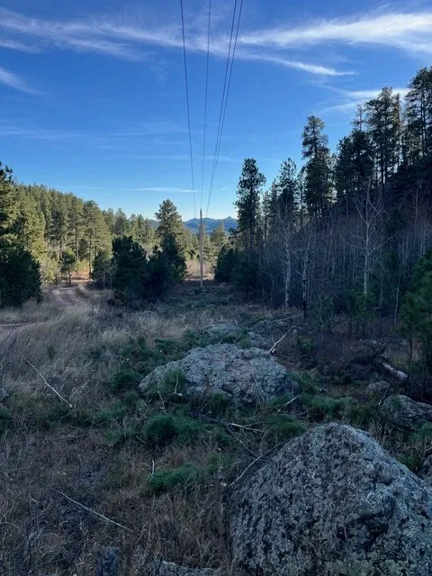 Local landscaping services experts serving Rapid City, SD - Tnt Land Maintenance