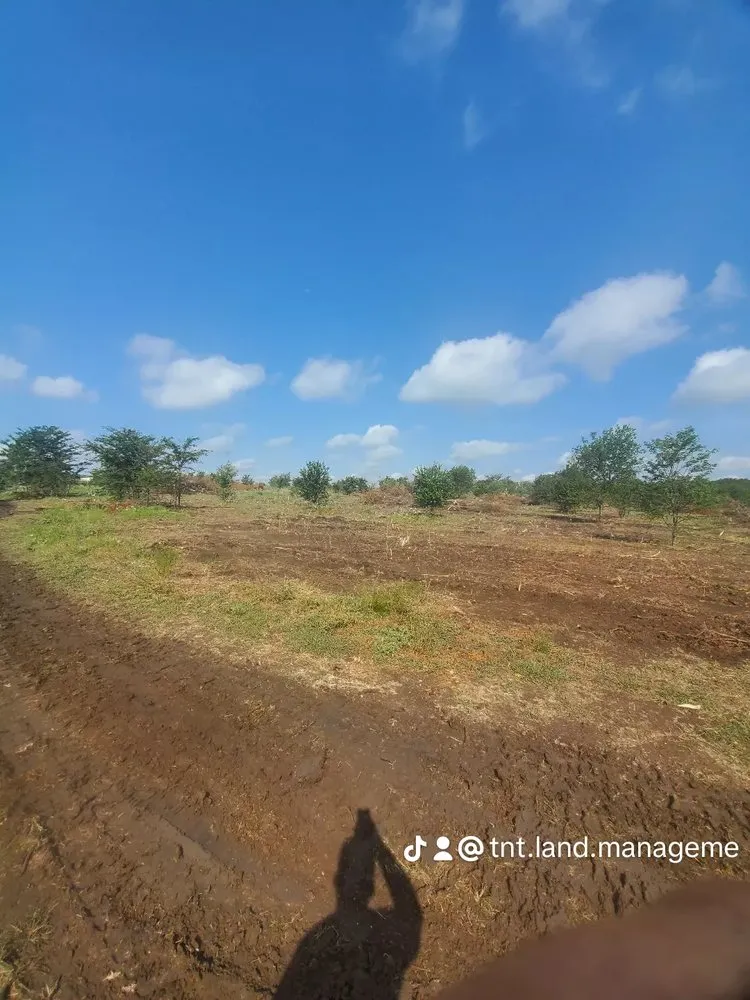 Top-rated yard maintenance near you across Hubbard, TX - TNT Land Management