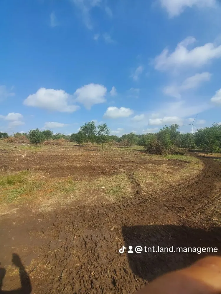 Expert residential landscaping in Hubbard, TX - TNT Land Management