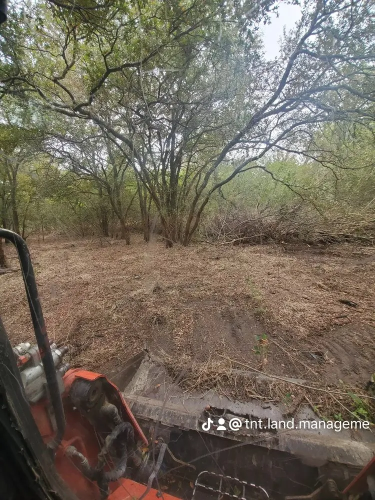 Reliable residential landscaping experts serving Hubbard, TX - TNT Land Management