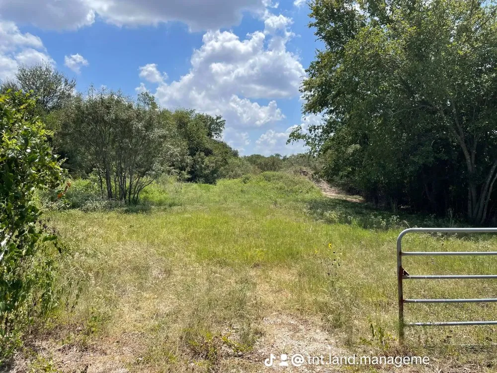 Top-rated landscape design experts serving Hubbard, TX - TNT Land Management