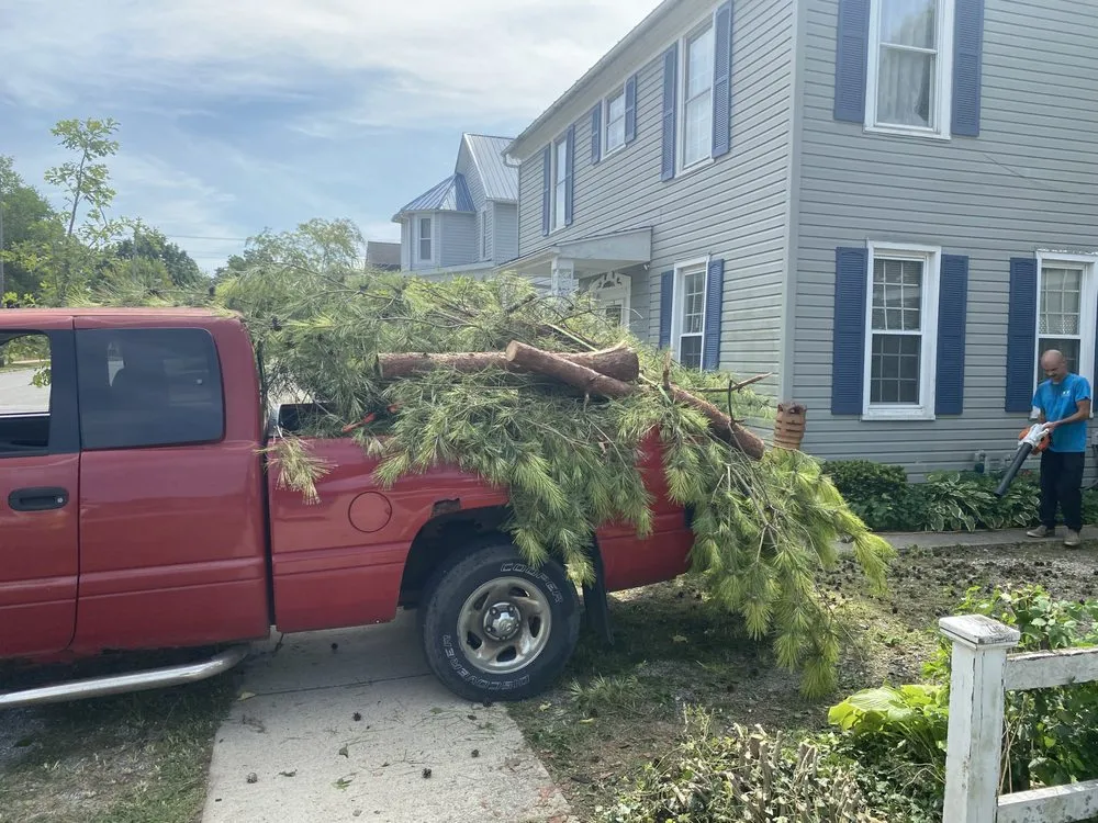 Affordable yard cleanup service for year-round maintenance in Tiffin, OH by Tnt Land Restoration
