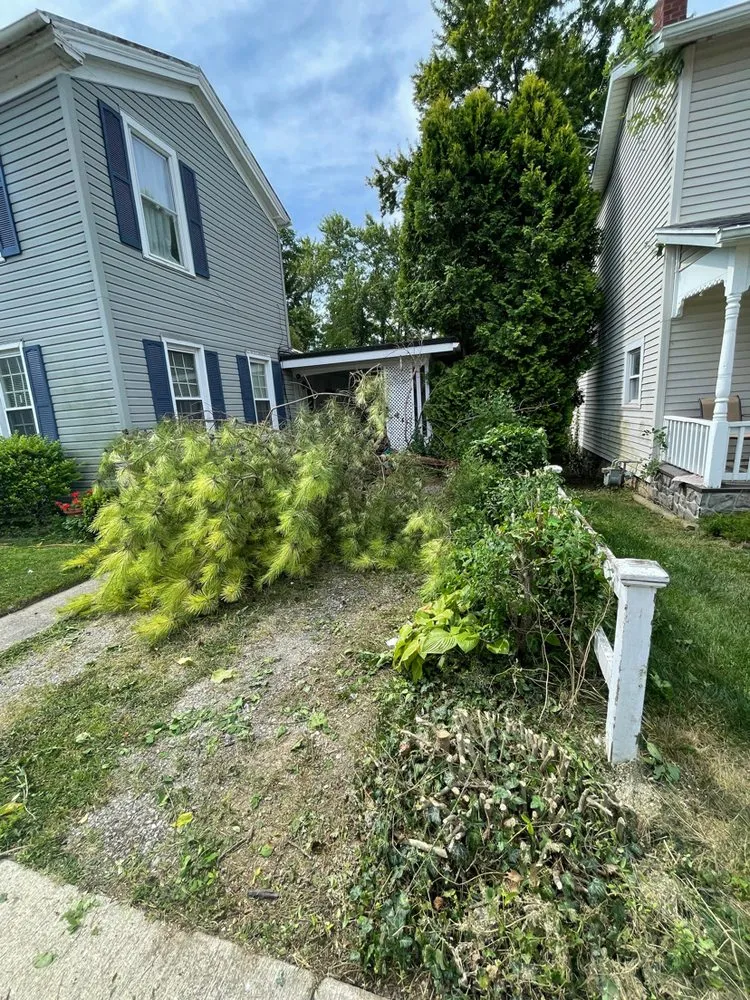 Professional garden landscaping for year-round maintenance across Tiffin, OH - Tnt Land Restoration