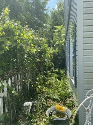 Tnt Land Restoration