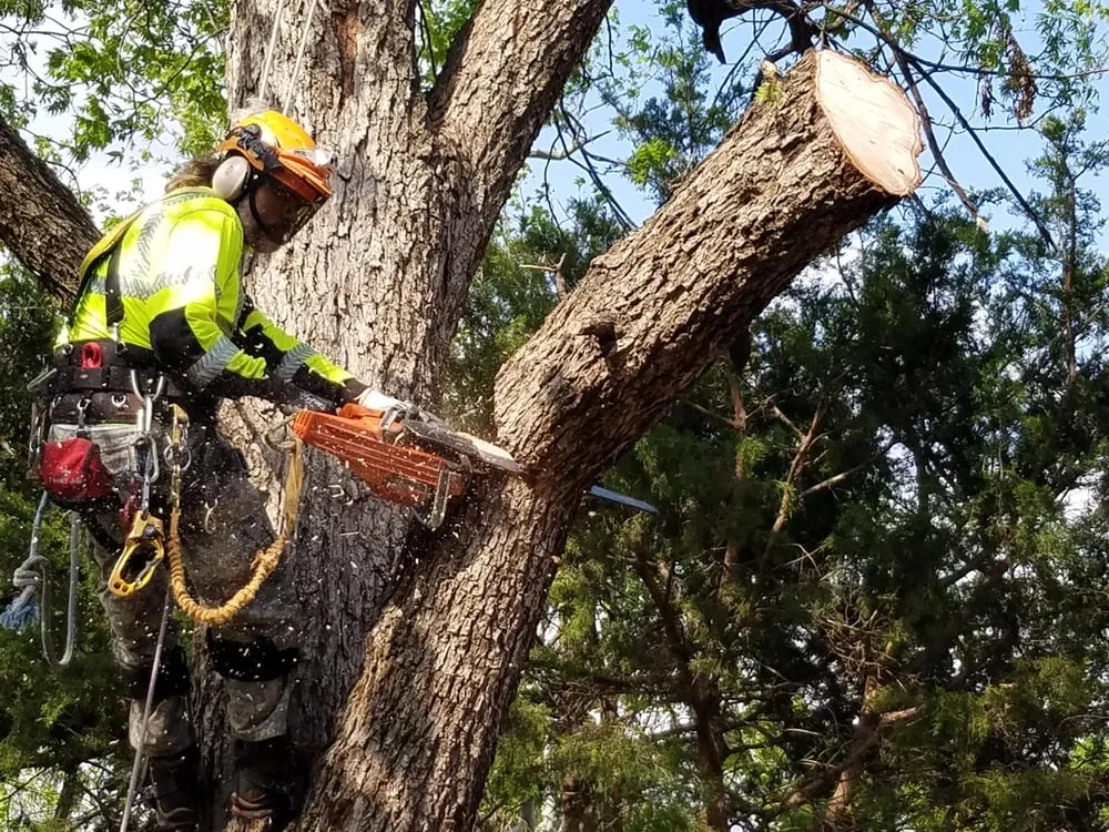 Reliable lawn care service for homes across Oklahoma City, OK - Tnt Landsaping Services