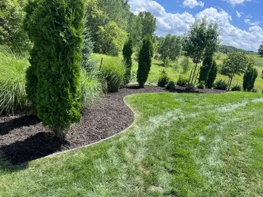 TNT Landscape and Property Maintenance