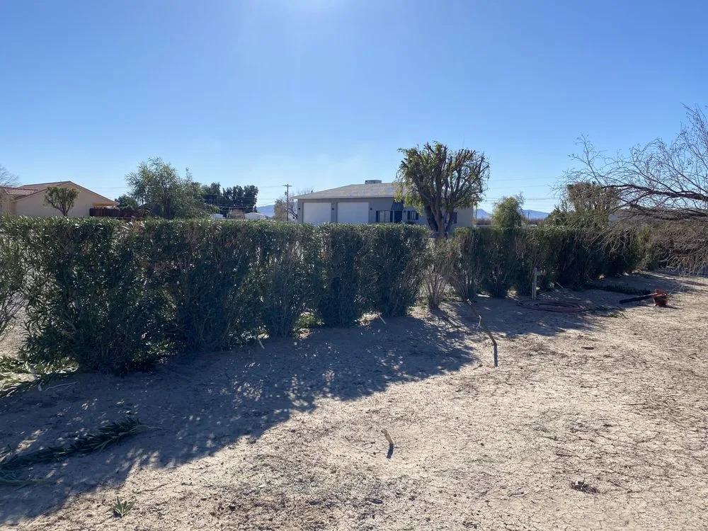 Top-rated yard cleanup service experts serving Fort Mohave, AZ - TNT Landscape