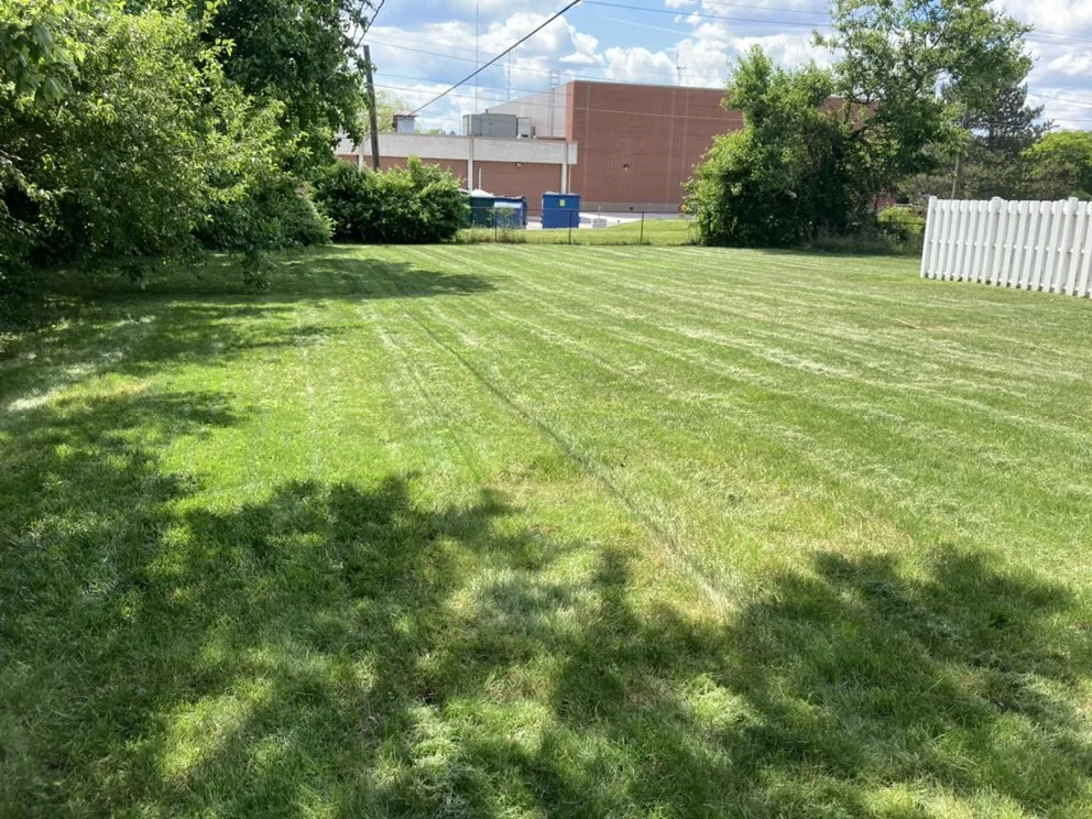 Expert lawn care service in Indianapolis, IN by TNT Landscape