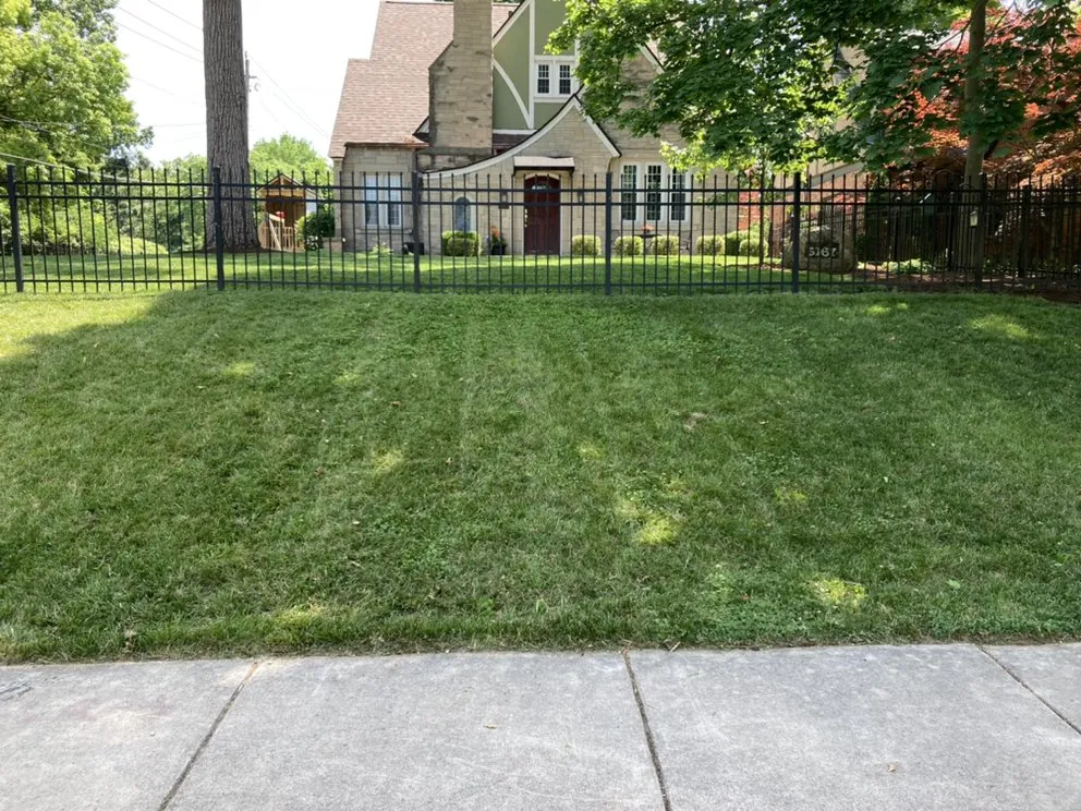 Local yard cleanup service in Indianapolis, IN - TNT Landscape