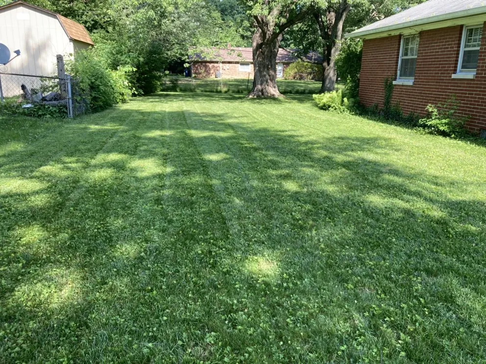 Local yard maintenance for year-round maintenance in Indianapolis, IN by TNT Landscape