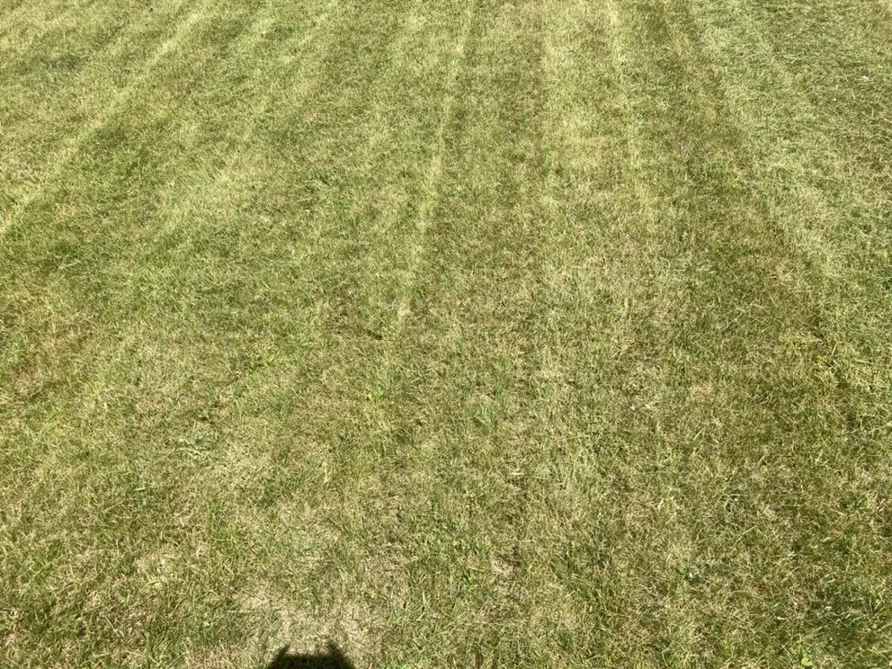 Reliable yard cleanup service for homes in Indianapolis, IN by TNT Landscape