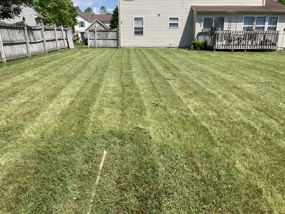 Top-rated yard cleanup service in Indianapolis, IN by TNT Landscape