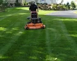 Reliable landscaping services experts serving Buda, TX - TNT Landscape Services