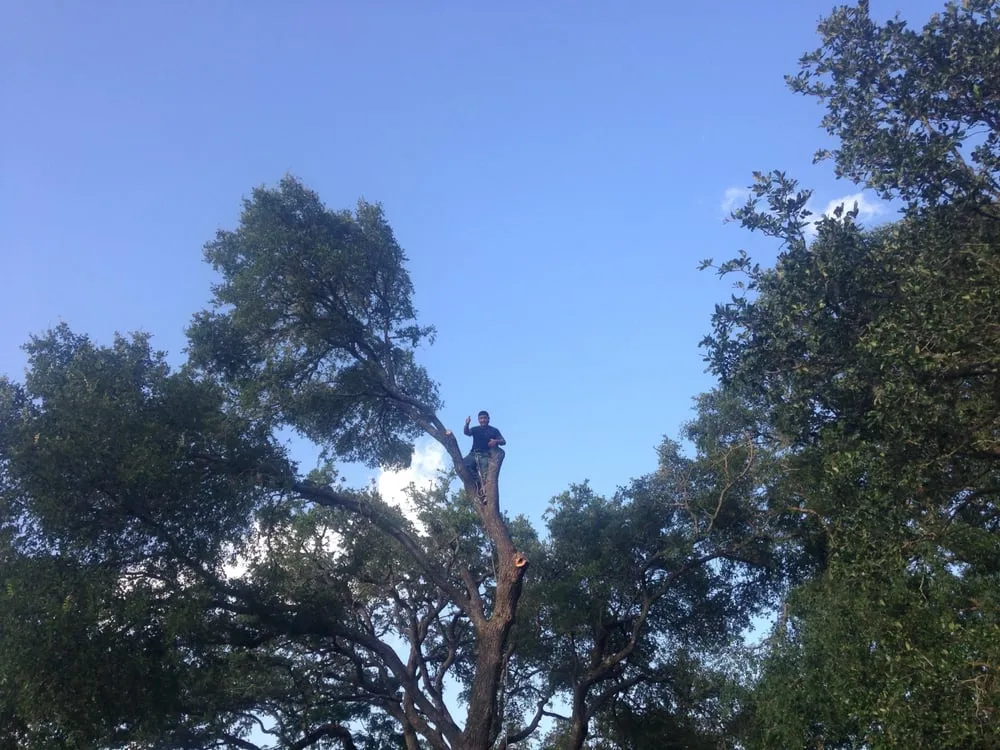 Expert outdoor landscaping in Buda, TX by TNT Landscape Services