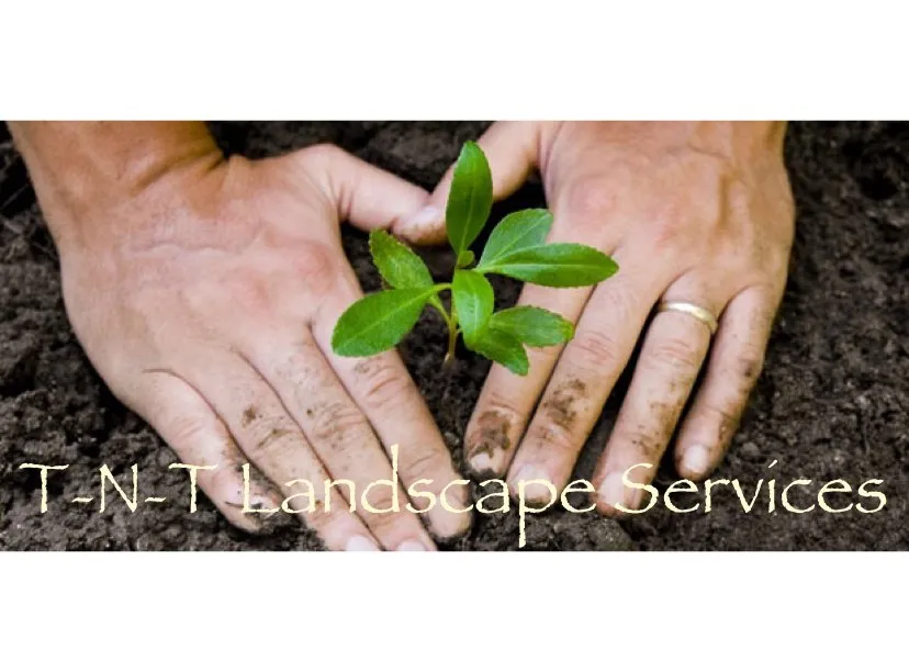 Local garden landscaping in Buda, TX by TNT Landscape Services